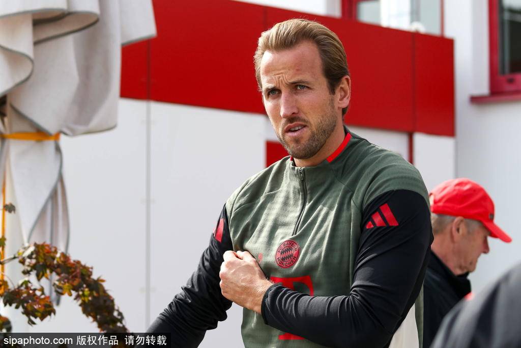 术体系中的, 球迷对球队