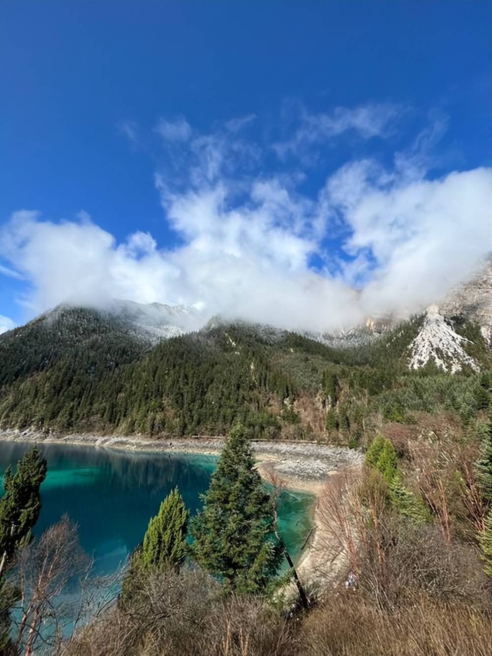 更关键的是, 茫形成鲜明 更关键的是, 茫形成鲜明